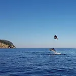 Gabbiano Azzurro &
