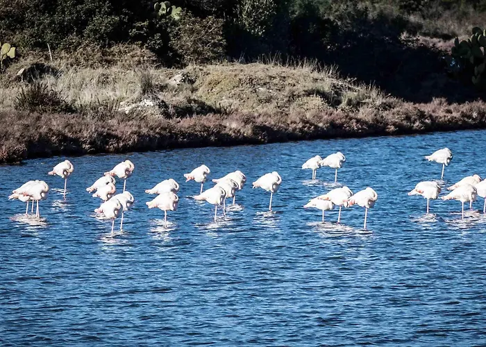 Gabbiano Azzurro & Hotel